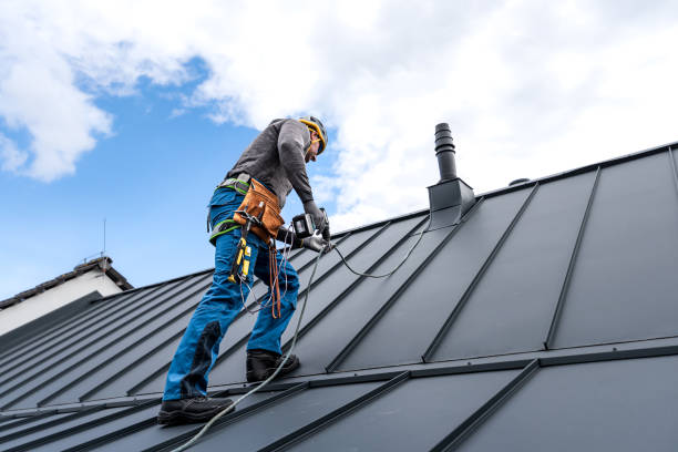 Fast & Reliable Emergency Roof Repairs in Cecil Bishop, PA